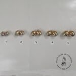 Acorn bells - dual tone